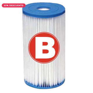Cartucho de Filtro INTEX tipo B